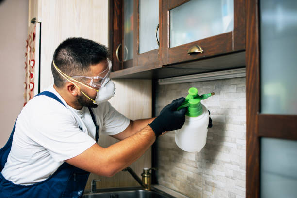 Best Commercial Pest Control Services  in Brightwaters, NY
