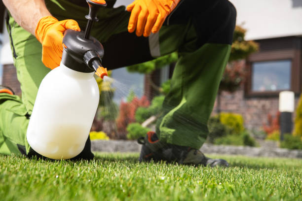 Best Residential Pest Control  in Brightwaters, NY