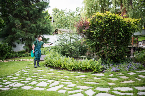 Best Pest Inspection Near Me  in Brightwaters, NY