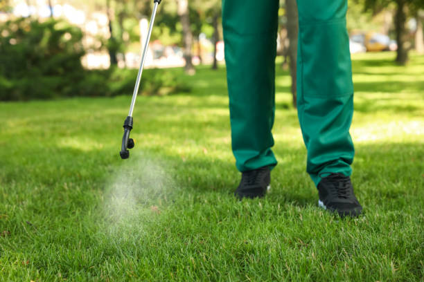 Best Wildlife Control Services  in Brightwaters, NY