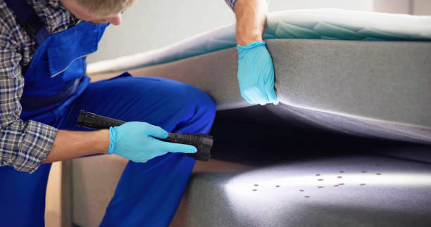 Best Rat Extermination Near Me  in Brightwaters, NY