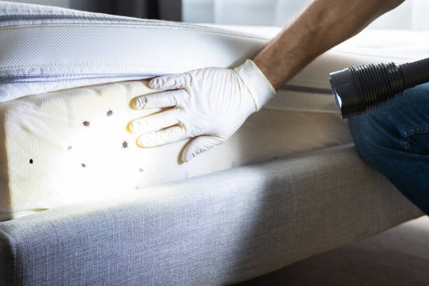 Best Exterminator Services  in Brightwaters, NY