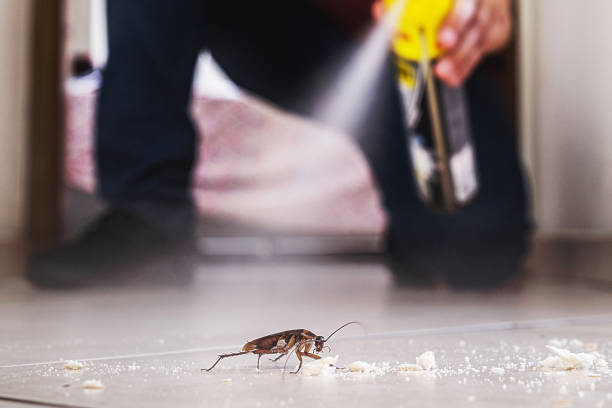 Best Residential Pest Control  in Brightwaters, NY