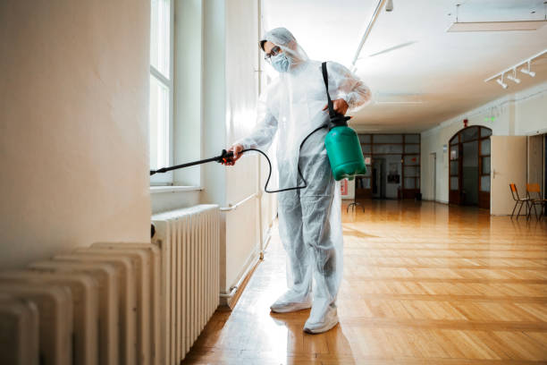 Best Affordable Pest Control Services  in Brightwaters, NY