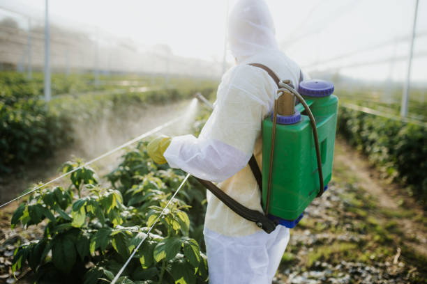 Professional Pest Control in Brightwaters, NY
